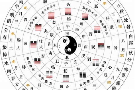 丁火 性格|十天干與十二地支喜忌——丁火篇